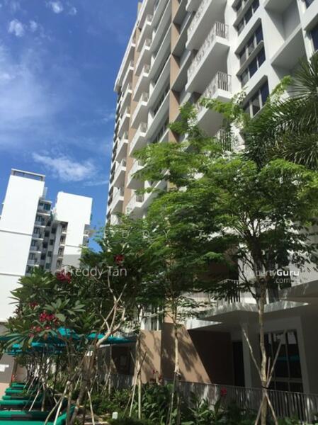 Sea Esta, 20 Pasir Ris Link, 2 Bedrooms, 818 sqft, Condominium For Rent, by Freddy Tan, 21206855 - PropertyGuru.com.sg