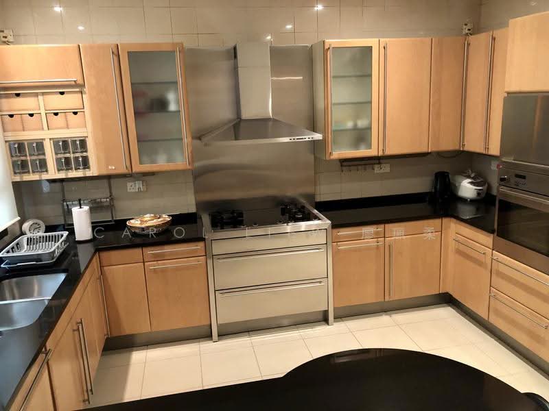 Ardmore Park, 9 Ardmore Park, Tanglin / Holland / Bukit Timah, 4 Bedrooms, 2,885 sqft, Condominium For Rent, by Carol Liew 廖珮柔, 21222210 - PropertyGuru.com.sg
