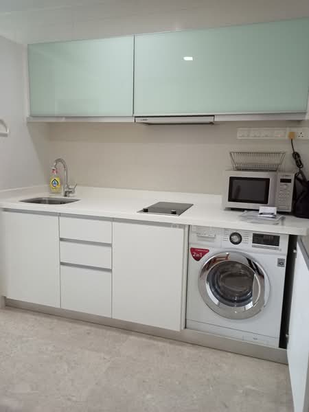 Tribeca by the Waterfront, 60 Kim Seng Road, 1 Bedroom, 570 sqft, Condominium For Rent, by T.H. Oei, 21223790 - PropertyGuru.com.sg