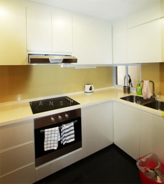 River Place, 60 Havelock Road, 2 Bedrooms, 786 sqft, Condominium For Rent, by Fransiska Tan, 21229434 - PropertyGuru.com.sg