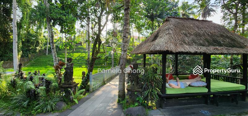 For Sale - PERFECT!⭐️STUNNING GCB ⭐️ELEVATED REGULAR ⭐️ BEAUTIFUL 50M FRONTAGE ⭐️ (顶级优质洋房) ☎️PAM 90228600