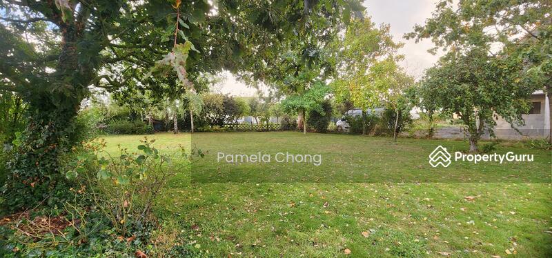 For Sale - PERFECT!⭐️STUNNING GCB ⭐️ELEVATED REGULAR ⭐️ BEAUTIFUL 50M FRONTAGE ⭐️ (顶级优质洋房) ☎️PAM 90228600