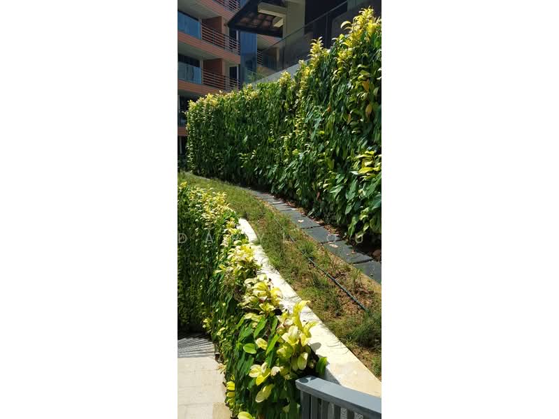 Sophia Hills, 7 Mount Sophia, 2 Bedrooms, 570 sqft, Condominium For Rent, by Daryl Ou, 21264925 - PropertyGuru.com.sg