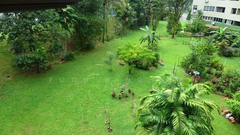 Pine Grove, 1M Pine Grove, Clementi Park / Upper Bukit Timah, 4 Bedrooms, 1,930 sqft, Condominium For Rent, by Poon Wing Kee, 21267987 - Cool Morning Sun to Greet you every day... - PropertyGuru.com.sg