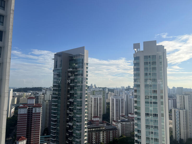 Panoramic view from unit