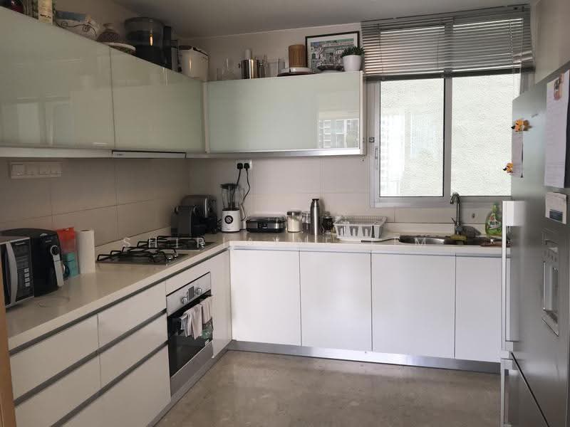 Tribeca by the Waterfront, 60 Kim Seng Road, Orchard / River Valley, 4 Bedrooms, 1,905 sqft, Condominium For Rent, by Shirlayne Lim, 21277623 - Kitchen - PropertyGuru.com.sg
