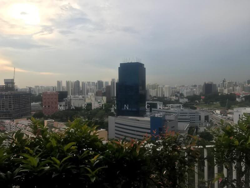 Pinnacle @ Duxton, 1A Cantonment Road, Chinatown / Tanjong Pagar, 2 Bedrooms, 1,000 sqft, HDB Flat For Sale, by Mar Inn Chee, 21282752 - PropertyGuru.com.sg