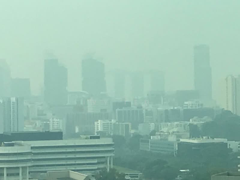 Park Infinia at Wee Nam, 2 Lincoln Road, 2 Bedrooms, 969 sqft, Condominium For Rent, by Ivy Teo, 21316999 - PropertyGuru.com.sg