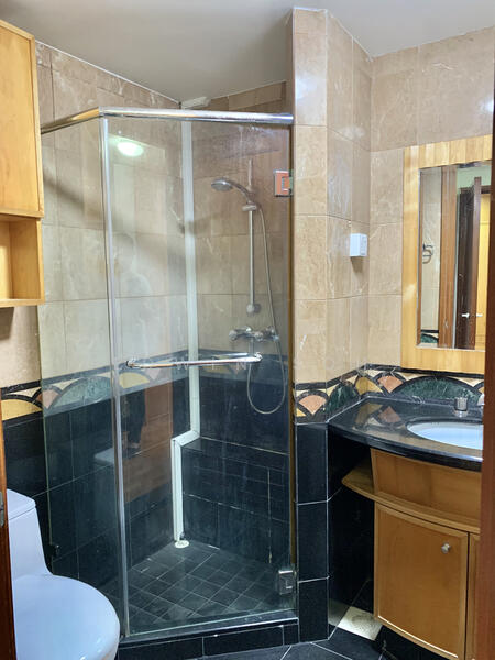 River Place, 60 Havelock Road, 3 Bedrooms, 1,302 sqft, Condominium For Rent, by Edwin Soh, 21318674 - MASTER BATHROOM - PropertyGuru.com.sg