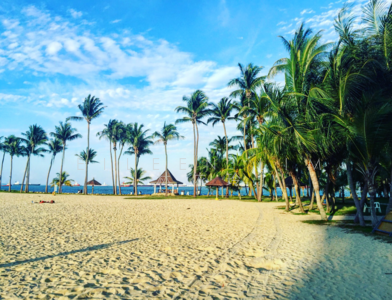 For Sale - Seascape @ Sentosa Cove