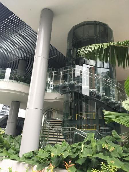 Coco Palms, 15 Pasir Ris Grove, Pasir Ris / Tampines, 3 Bedrooms, 904 sqft, Condominium For Rent, by Patrick Ang, 21337586 - PropertyGuru.com.sg