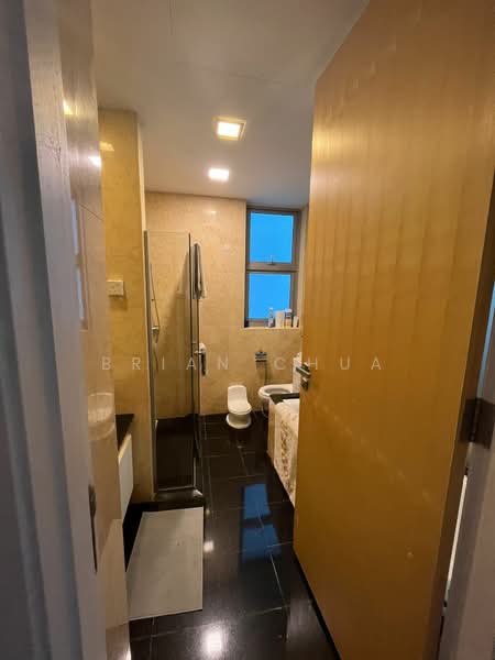 Cairnhill Crest, 2 Cairnhill Circle, 4 Bedrooms, 2,691 sqft, Condominium For Rent, by Brian Chua, 21355449 - PropertyGuru.com.sg