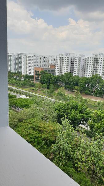 299A Compassvale Street, 299A Compassvale Street, Room Rental, 110 sqft, HDB Flat For Rent, by Gerald Wang, 21360010 - PropertyGuru.com.sg