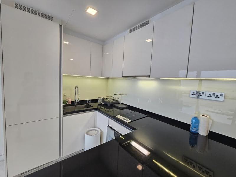Wallich Residence, 3 Wallich Street, Chinatown / Tanjong Pagar, 1 Bedroom, 646 sqft, Condominium For Rent, by Sannie Tan, 21362130 - Kitchen - PropertyGuru.com.sg