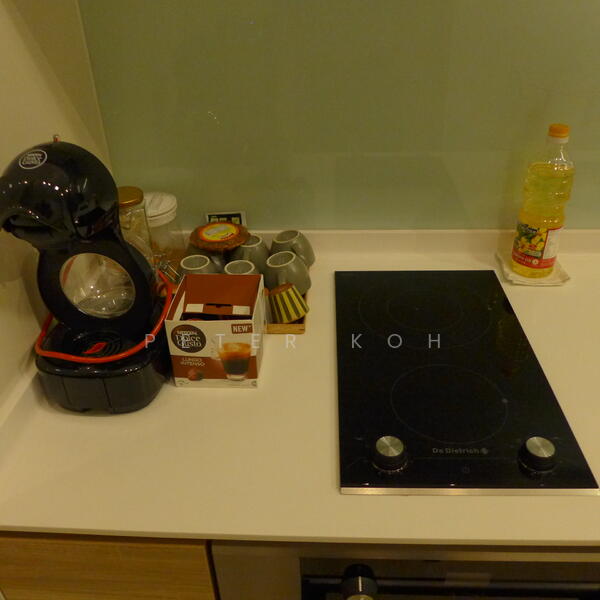 Alex Residences, 28 Alexandra View, 2 Bedrooms, 657 sqft, Apartment For Rent, by Peter Koh, 21372418 - PropertyGuru.com.sg