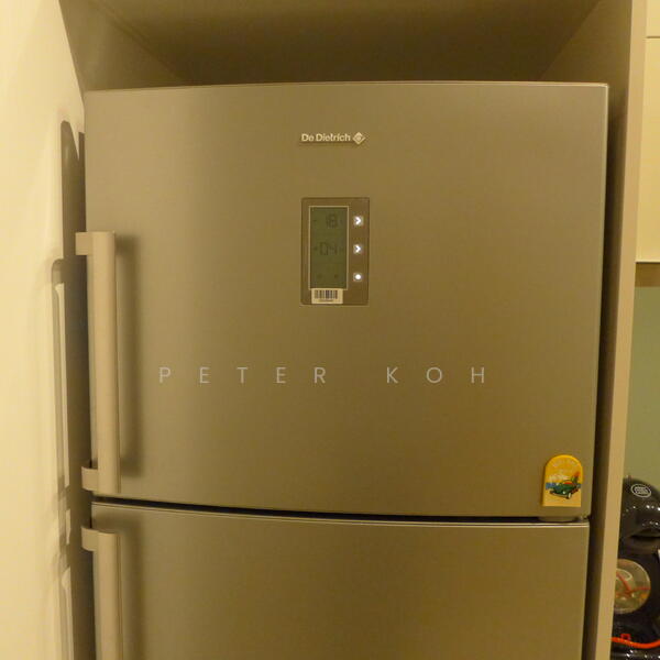 Alex Residences, 28 Alexandra View, 2 Bedrooms, 657 sqft, Apartment For Rent, by Peter Koh, 21372418 - PropertyGuru.com.sg