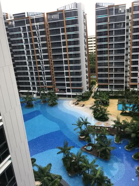 Coco Palms, 15 Pasir Ris Grove, 4 Bedrooms, 1,378 sqft, Condominium For Rent, by Jessica Soo, 21377616 - PropertyGuru.com.sg