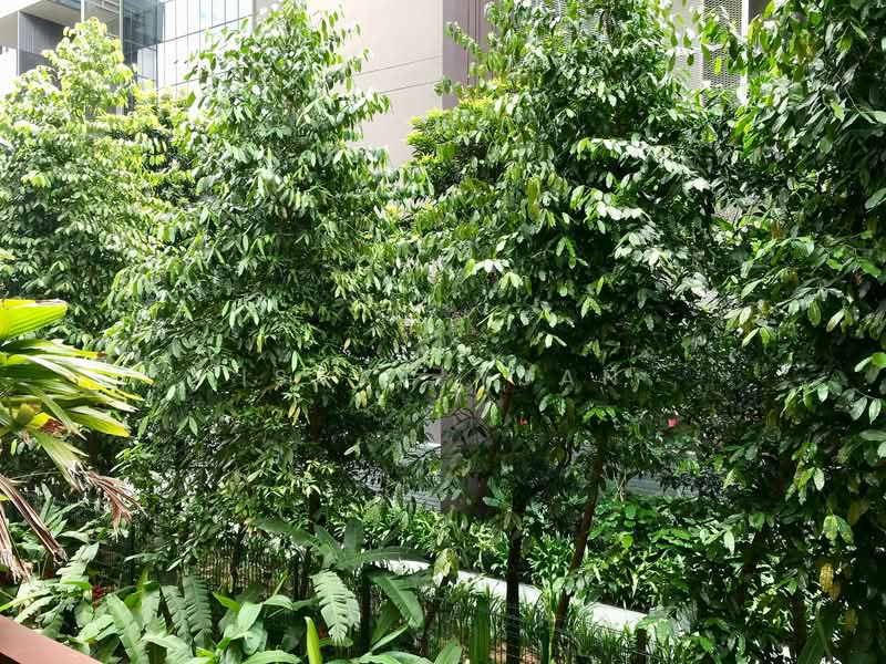 The Cornwall, 2A Cornwall Gardens, Tanglin / Holland / Bukit Timah, 1 Bedroom, 667 sqft, Condominium For Rent, by Isaac Yuan, 21382733 - Lush Greenery Facing - PropertyGuru.com.sg