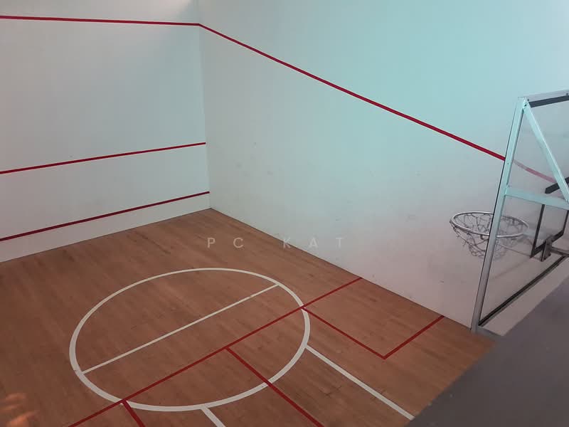 Squash cum Basket ball court