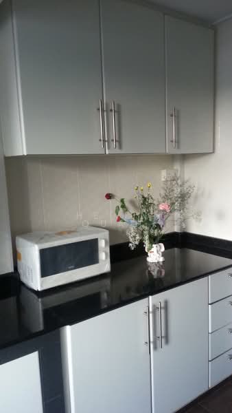 3 Tanjong Pagar Plaza, 3 Tanjong Pagar Plaza, 2 Bedrooms, 700 sqft, HDB Flat For Rent, by Helen Quah, 21409111 - Kitchen - PropertyGuru.com.sg
