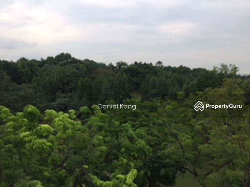 View from living room