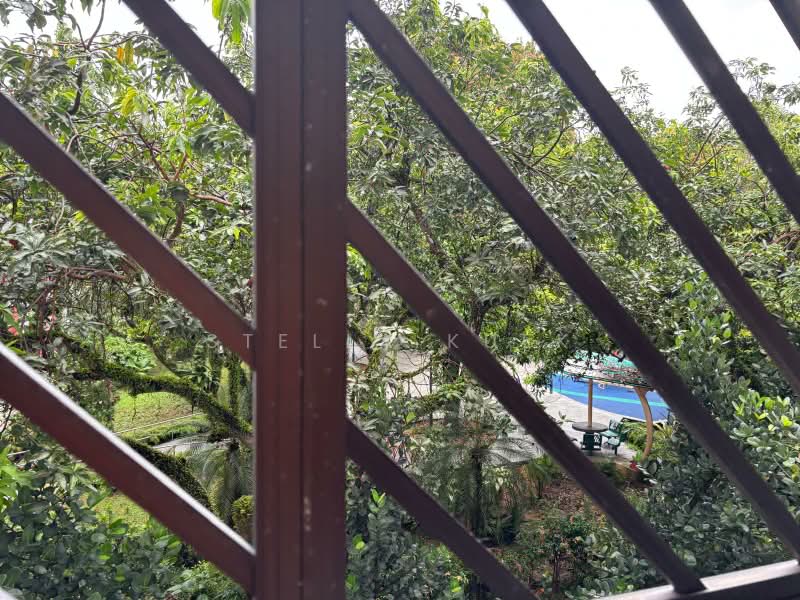 10 Toh Yi Drive, 10 Toh Yi Drive, Room Rental, 215 sqft, HDB Flat For Rent, by Stella Kuek, 21437803 - House Next To A Garden - PropertyGuru.com.sg