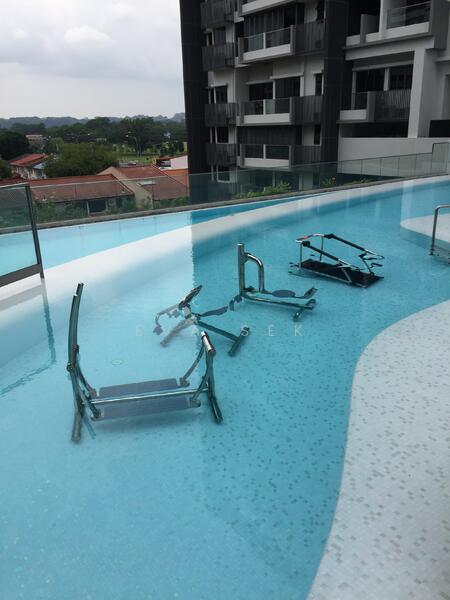 Trilive, 111 Tampines Road, 1 Bedroom, 450 sqft, Condominium For Rent, by Eva Sek, 21438701 - PropertyGuru.com.sg