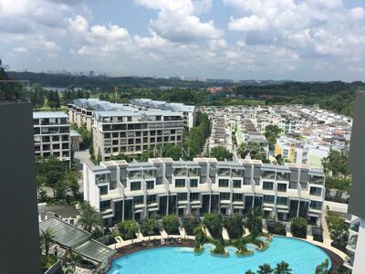 For Rent - Skies Miltonia