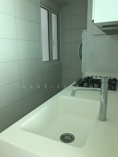 Suites at Orchard, 38 Handy Road, 3 Bedrooms, 1,500 sqft, Condominium For Rent, by Gabriel Lim, 21445246 - Wet Kitchen with Appliances - Dishwasher, Hob, Hood, Washer & Dryer - PropertyGuru.com.sg