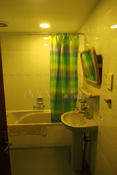 Cairnhill Plaza, 53 Cairnhill Road, 3 Bedrooms, 2,820 sqft, Apartment For Rent, by Bertram Tian  田镇伟, 21445560 - PropertyGuru.com.sg