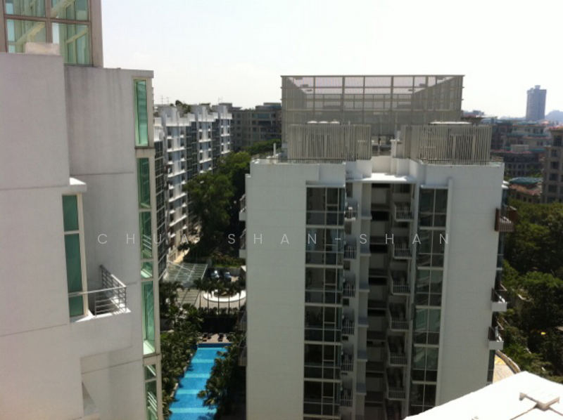 Roof Terrace View