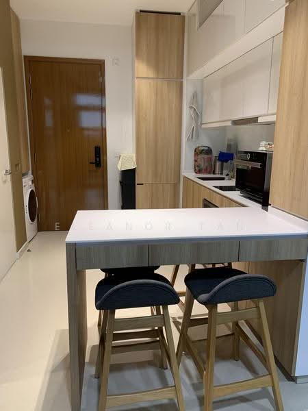 Spottiswoode Suites, 16 Spottiswoode Park Road, Chinatown / Tanjong Pagar, 2 Bedrooms, 581 sqft, Condominium For Rent, by Eleanor Tan, 21466303 - Kitchen - PropertyGuru.com.sg