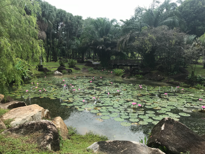 For Rent - 188 Bishan Street 13