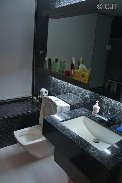 Luxurious 5 stars equivalent toilet with marble tiles. 