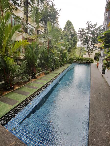 Alegria Boutique Apartments, 323C thomson road, 1 Bedroom, 688 sqft, Condominium For Rent, by Jarvis (Vis) Goh 吴生容, 21485749 - PropertyGuru.com.sg