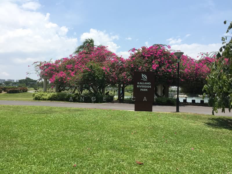 Kallang Riverside, 51 Kampong Bugis, 2 Bedrooms, 1,001 sqft, Condominium For Rent, by Angel Cai, 21509467 - PropertyGuru.com.sg