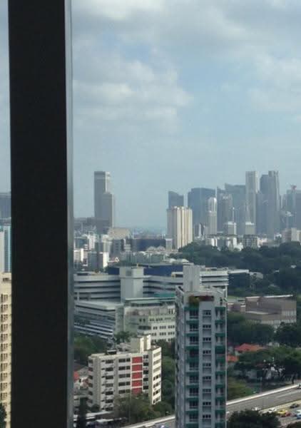 Strata, 1 Essex Road, Newton / Novena, 2 Bedrooms, 1,066 sqft, Apartment For Rent, by Don Pan, 21541442 - PropertyGuru.com.sg