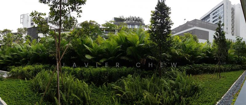 Sophia Hills, 11 Mount Sophia, 2 Bedrooms, 570 sqft, Condominium For Rent, by Javier Chew, 21543114 - PropertyGuru.com.sg