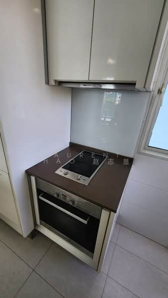 The Cascadia, 921 Bukit Timah Road, 2 Bedrooms, 990 sqft, Condominium For Rent, by Laurent Zhao 赵志显, 21556394 - PropertyGuru.com.sg