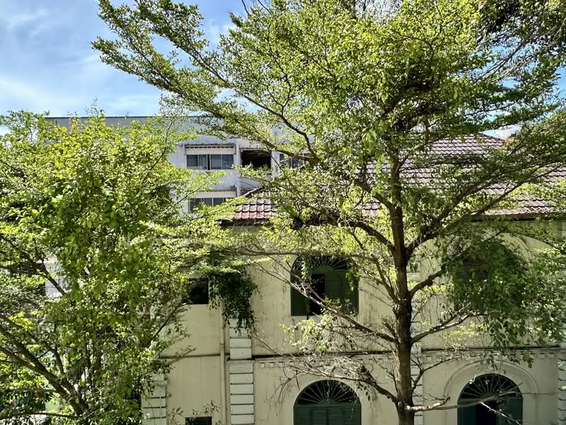 Estilo, 71 Wilkie Road, 1 Bedroom, 495 sqft, Apartment For Rent, by Lawrence Tan, 21575273 - PropertyGuru.com.sg