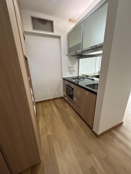 The Metz, 83 Devonshire Road, Orchard / River Valley, 1 Bedroom, 581 sqft, Condominium For Rent, by Caprice Ling, 21576389 - PropertyGuru.com.sg