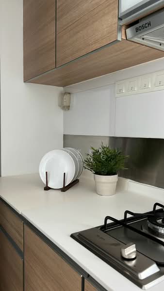 Parc Emily, 11 Mount Emily Road, Orchard / River Valley, 2 Bedrooms, 1,011 sqft, Condominium For Rent, by Nikki Cheng, 21579951 - PropertyGuru.com.sg