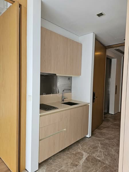 The Laurels @ Cairnhill Road, 38 Cairnhill Road, 1 Bedroom, 550 sqft, Condominium For Rent, by Eric Lim, 21594558 - PropertyGuru.com.sg