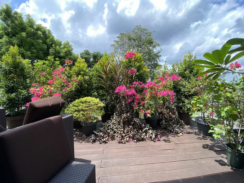Shamrock Villas, Namly Place, 5 Bedrooms, 6,100 sqft, Detached House For Rent, by Vivian Tan B L, 21597965 - Good size out door area  - PropertyGuru.com.sg