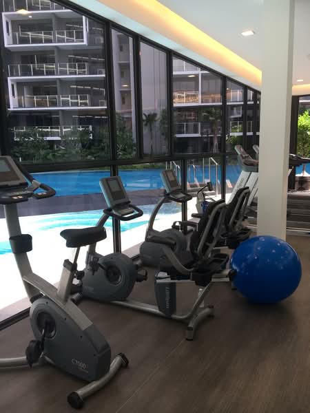 The Poiz Residences, 2 Meyappa Chettiar Road, 1 Bedroom, 420 sqft, Apartment For Rent, by May Li, 21602184 - PropertyGuru.com.sg