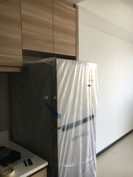 The Poiz Residences, 2 Meyappa Chettiar Road, 1 Bedroom, 420 sqft, Apartment For Rent, by May Li, 21602184 - PropertyGuru.com.sg
