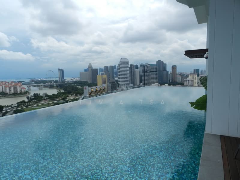 Kallang Riverside, 51 Kampong Bugis, 2 Bedrooms, 1,012 sqft, Condominium For Rent, by Olivia Tea, 21609861 - Infinite Pool - PropertyGuru.com.sg