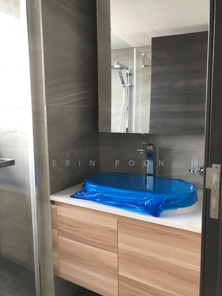 The Poiz Residences, 10 Meyappa Chettiar Road, 1 Bedroom, 538 sqft, Condominium For Rent, by Erin Poon, 21616557 - PropertyGuru.com.sg