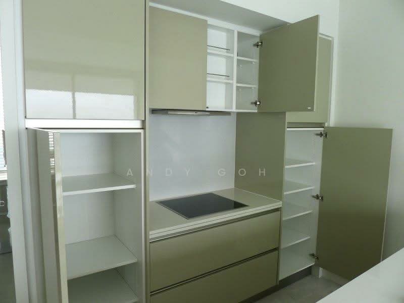 Ardmore II, 2 Ardmore Park, 4 Bedrooms, 2,023 sqft, Condominium For Sale, by Andy Goh, 21618750 - PropertyGuru.com.sg
