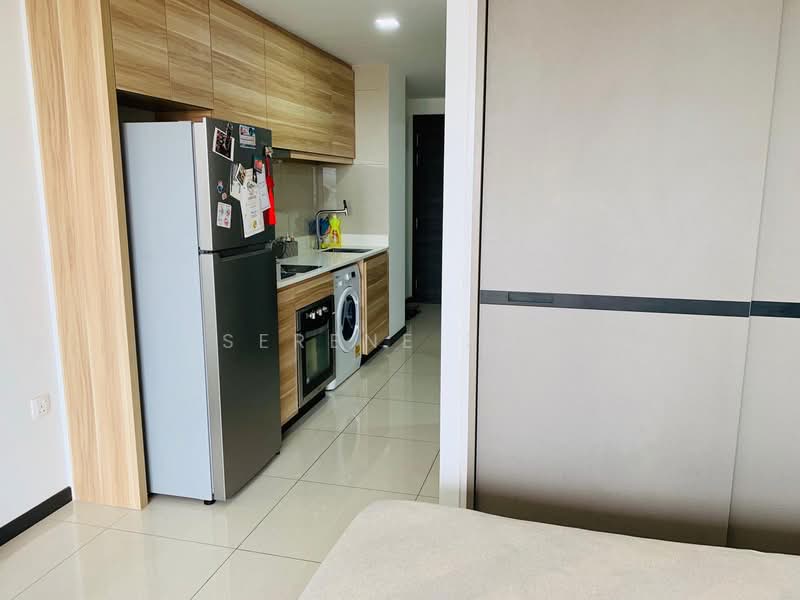 The Poiz Residences, 2 Meyappa Chettiar Road, 1 Bedroom, 420 sqft, Condominium For Rent, by Serene Zhu, 21651966 - PropertyGuru.com.sg
